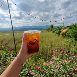 ชาน้ำผึ้งมะนาว