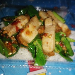 คะน้าหมูกรอบราดข้าว