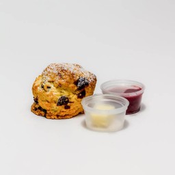 SCONE
