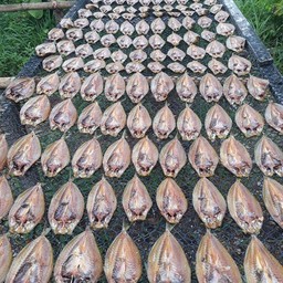 มาดาม อาหารทะเล