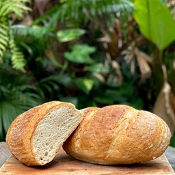 Wheat Bread