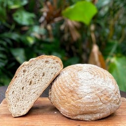 Whole Wheat Sourdough Bread