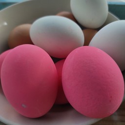 ไข่เยี่ยวม้า