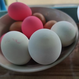 ไข่เค็ม