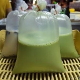 น้ำเต้าหู้ชาเขียว (ไม่ใส่เครื่อง)