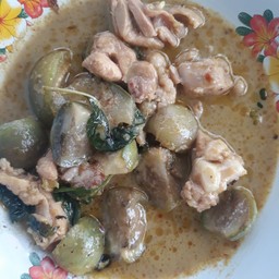 แกงเขียวหวานไก่มะเขื่อ