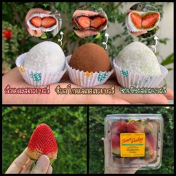 SD Daifuku : ไดฟูกุปั้นสด แป้งนุ่ม