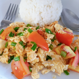 มังสวิรัติ_ข้าวราด ไข่คั่วมะเขือเทศ