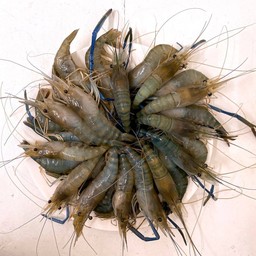 กุ้งสด 1 โล