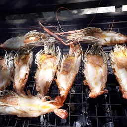 กุ้งแม่น้ำ
