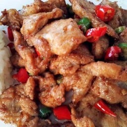 ข้าวราด หมูคั่วพริกเกลือ