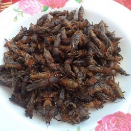 ต้นตาลอาหารแซบ😋😋😋