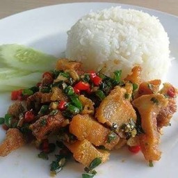 ข้าวหมูสามชั้นคั่วพริกเกลือ