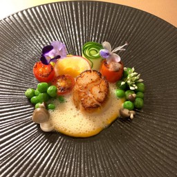 Seared Hokkaido scallop