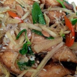 ผัดขิงปลาช่อน
