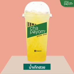 เก๊กฮวย