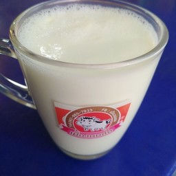 นมสด ร้อน