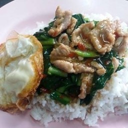 ผัดคะน้าหมูชิ้น ราดข้าว