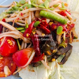 ร้านส้มตำยำนัวร์Zaapแสบปาก โต้รุ่งซอย5