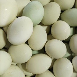 น้องปายขนมทานเล่น