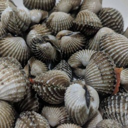 MENU_403257AD_1651049772