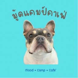 Mood•Camp•Cafe’