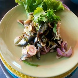 ปลากุแลพล่าดิบซอยตระไคร้