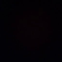 พาสต้าทรัฟเฟิลเห็ดรวม