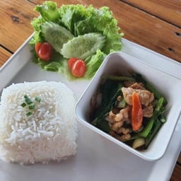 ข้าวราดคะน้าหมู