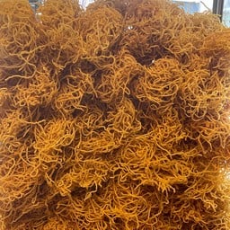 หมี่กรอบเปล่า