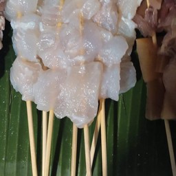 ปลาดอลลี่