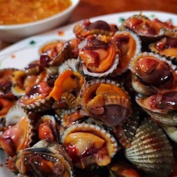 หอยแครง