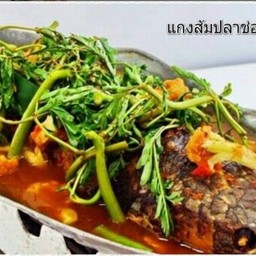 แกงส้มปลาช่อนทอดผักกะเฉด
