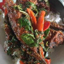 ผัดกระเพราปลาดุกทอดกรอบราดข้าว