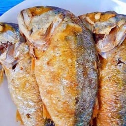 ปลาทูทอด