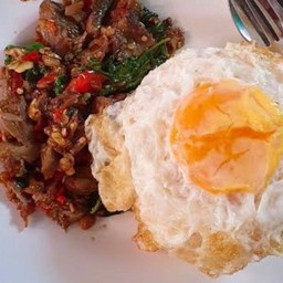 ข้าวราดกระเพราเป็ดไข่ดาว
