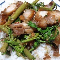 ข้าวกระเฉดหมูกรอบ