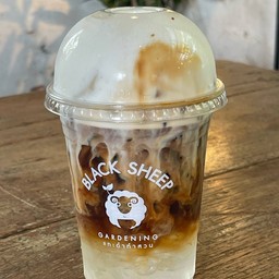 อเมโซดาโฟม