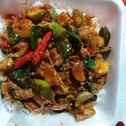 ข้าวหมู่ป่าผัดเผ็ด