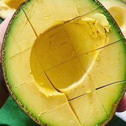 Avocado 1ลูก