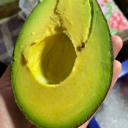 (สุก)อโวคาโด พื้นเมือง