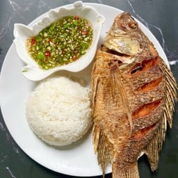 ชุดประหยัด ปลานิลทอดเล็ก + ข้าวสวย