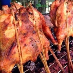 ไก่ย่างวิเชียรบุรี (หน้าสนามบินเกษตร)