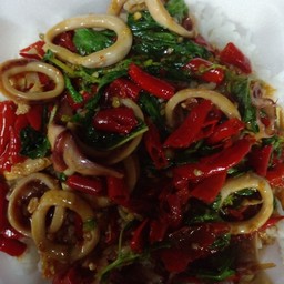 กระเพราโจร กุ้ง ราดข้าว