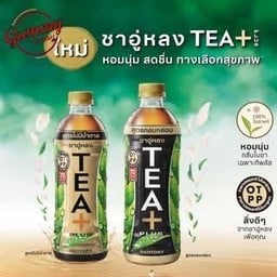 ชาอู่หลง น้ำตาลกับ ไม่มีน้ำตาล