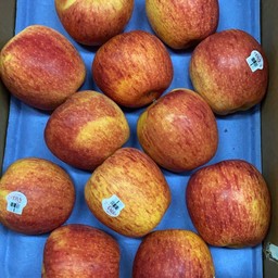 แอปเปิ้ล envy เบอร์ 30 นิวซีแลนด์