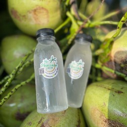 น้ำมะพร้าวน้ำหอมสด ขวดเล็ก 250ml