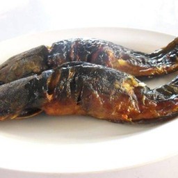ปลาดุก
