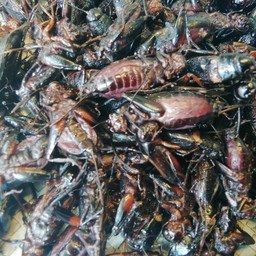 ทองดำทอด