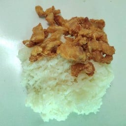 ข้าวเหนียวหมูทอด@คางหมูย่าง